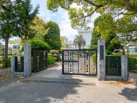 周辺環境 小学校 850m 平塚市立旭小学校-890m