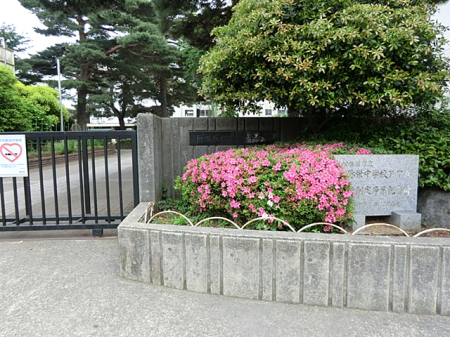 周辺環境 中学校 650m 相模原市立弥栄中学校