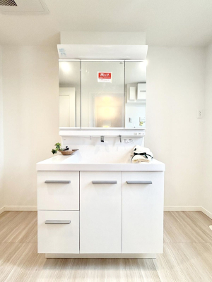 ���ʑ�E���ʏ� ���������̏������X���[�Y�ɂł���L���ł�