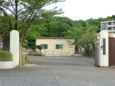 周辺環境 小学校 800m 八王子市立緑が丘小学校