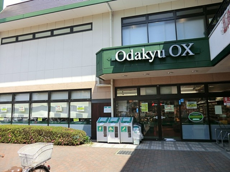 ӊ X[p[ 650m c}OXԓX
