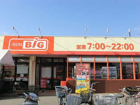 周辺環境 スーパー 1600m ザ・ビッグ 相模原西橋本店