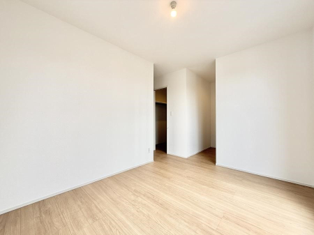 Q ̔zuʋC̗ǂ݌vŕ̋C炸AɐVNȋC܂