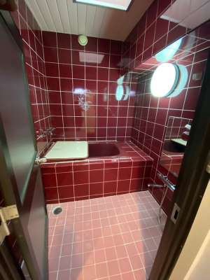 ���� ���C�g�R�[�g�����閾�邢������