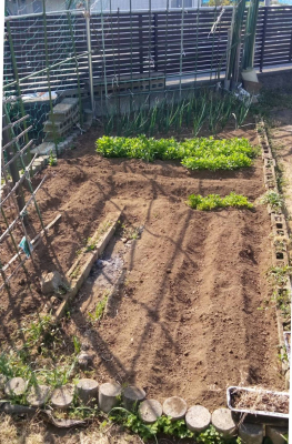 ���̑� �K�[�f�j���O��ƒ�؉��Ȃǂ̎�X�y�[�X�Ƀs�b�^��  