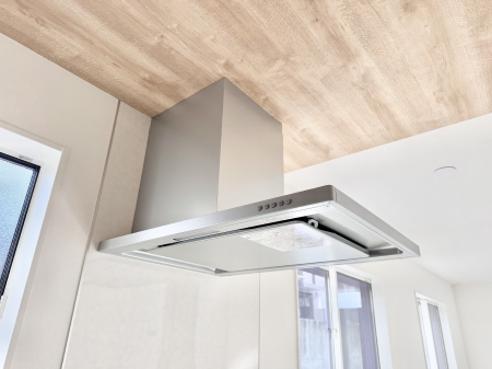 ̑ ݔ̏CCɗUAIɔrł܂B