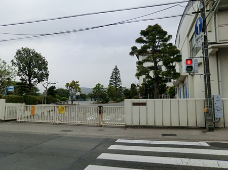 ӊ wZ 500m `swZ