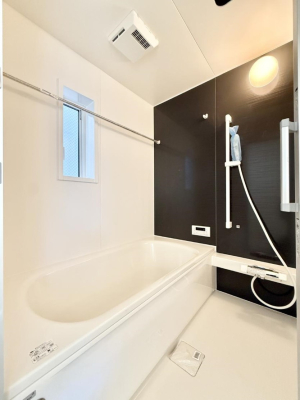 ���� �����������������F�����̕ǖʁA�������A������芰����o�X���[���B  