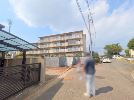 nOώʐ^ OρV̑ASn悢