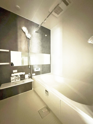 ���� �����������������F�����̕ǖʁA������芰����o�X���[��