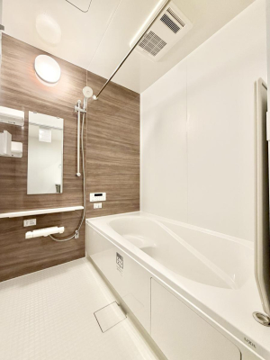 ���� �����������F�����̕ǖʁA�������A������芰����o�X���[���B  