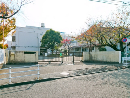 ӊ wZ 650m lsuwZ