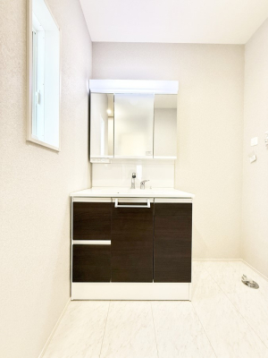 ���ʑ�E���ʏ� ���������̏������X���[�Y�ɂł���L���ł�