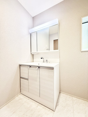 ���ʑ�E���ʏ� ���������̏������X���[�Y�ɂł���L���ł�