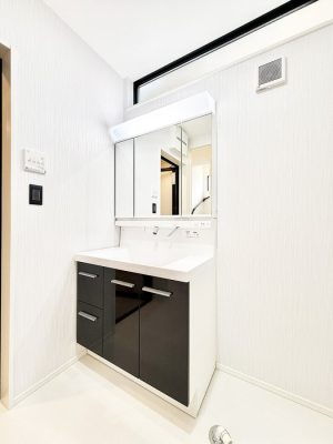 ���ʑ�E���ʏ� �������������Ő������̂�����ʏ�