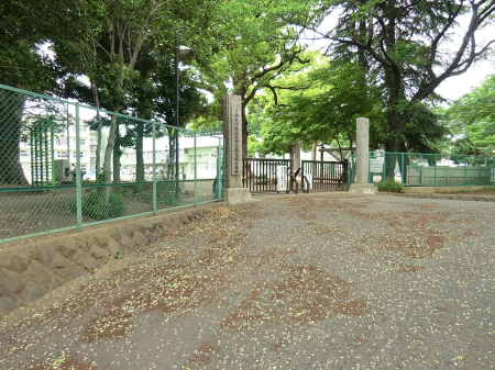 ӊ wZ 1950m ؎sїwZ