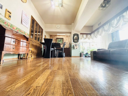 rO 傫ȑ薾邢Ԃł܂