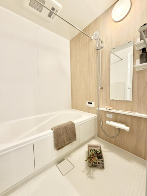 ���� �����������F�����̕ǖʁA�������A������芰����o�X���[���B  