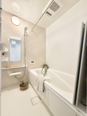 ���� �����������F�����̕ǖʁA�������A������芰����o�X���[���B  