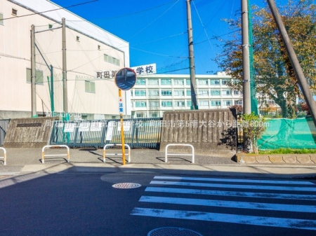 ӊ wZ 800m csc񒆊wZ