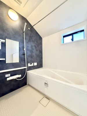 ���� �����������������F�����̕ǖʁA������芰����o�X���[��