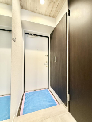 ���� ������ ��������n�܂����A�������萮��������