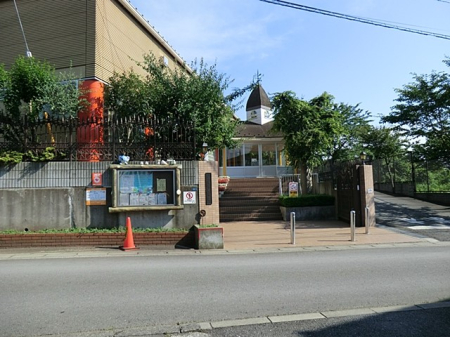 ӊ ctEۈ牀 800m ݂Ȃݗct