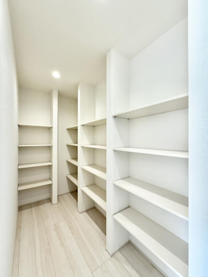 ���̑� �������v���X���̎��[�X�y�[�X  