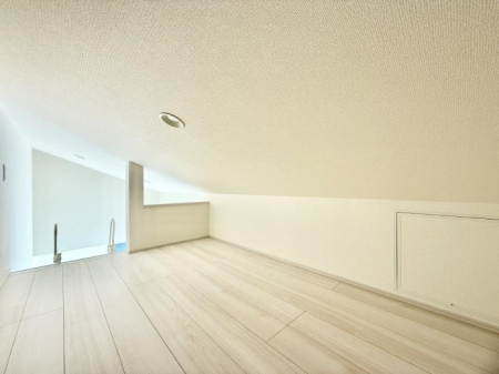 ���̑� �������v���X���̎��[�X�y�[�X  