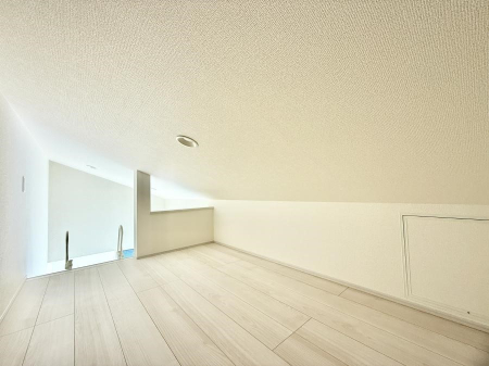 ���̑� �������v���X���̎��[�X�y�[�X  