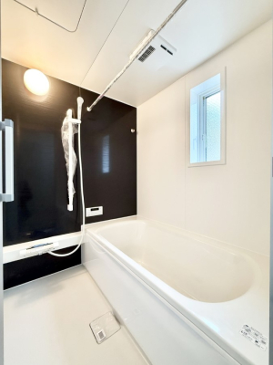 ���� �����������������F�����̕ǖʁA�������A������芰����o�X���[���B  