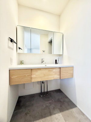 ���ʑ�E���ʏ� ���������̏������X���[�Y�ɂł���L���ł�