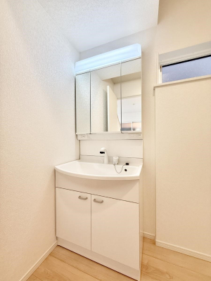 ���ʑ�E���ʏ� ���������̏������X���[�Y�ɂł���L���ł�