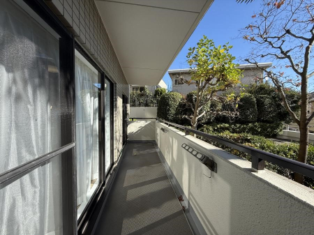 �o���R�j�[ ������ ���R��g�߂Ɋ�����A�J���I�ȃo���R�j�[