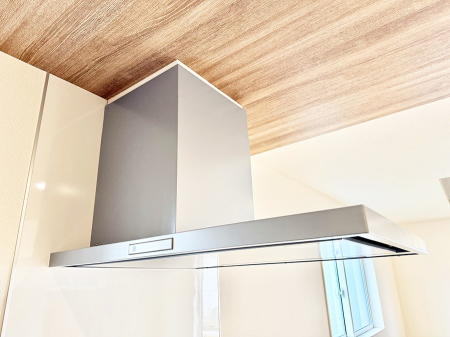 ̑ ݔ̏CCɗUAIɔrł܂B