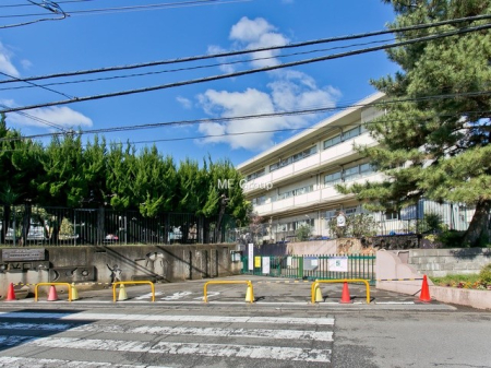 ӊ wZ 1000m sJˑ񏬊wZ