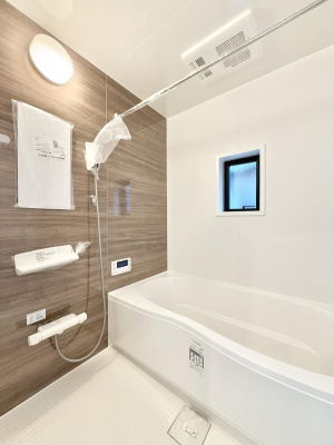 ���� �����������������F�����̕ǖʁA������芰����o�X���[��