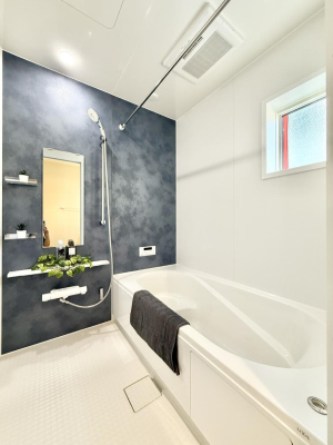 ���� �����������������F�����̕ǖʁA������芰����o�X���[��