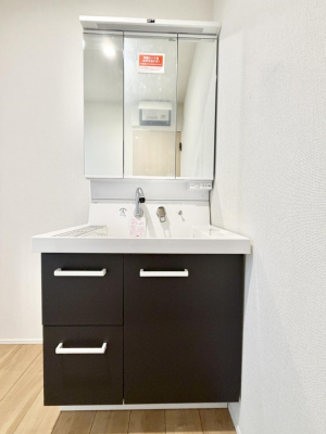 ���ʑ�E���ʏ� ���������̏������X���[�Y�ɂł���L���ł�