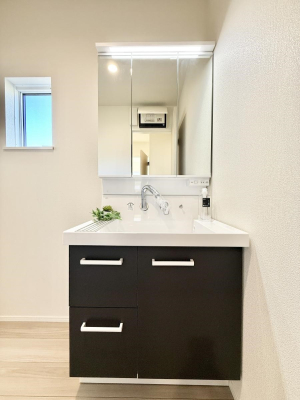 ���ʑ�E���ʏ� ���������̏������X���[�Y�ɂł���L���ł�