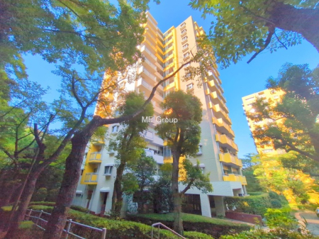 ���n�O�ώʐ^ ���V������炵���n�܂�ꏊ�ŁA�Ƒ����J��[�߂�