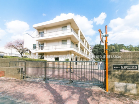 ���ӊ� ���w�Z 1230m ���l�s����t�䒆�w�Z