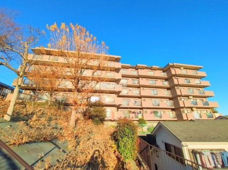 nOώʐ^ OρV炵n܂ꏊŁAƑJ[߂