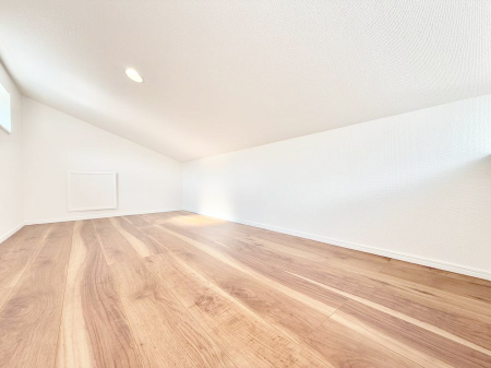 ���̑� ������+���̃X�y�[�X�I���t�g�t���I  