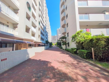 nOώʐ^ OρV炵n܂ꏊŁAƑJ[߂