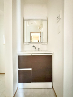 ���ʑ�E���ʏ� ���������̏������X���[�Y�ɂł���L���ł�