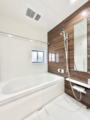 ���� �����������������F�����̕ǖʁA������芰����o�X���[��