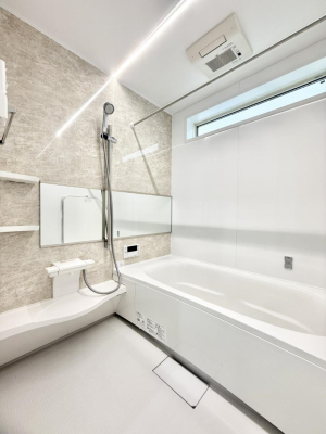 ���� �����������������F�����̕ǖʁA�������A������芰����o�X���[���B  