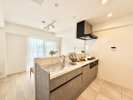 �L�b�`�� �������L���C�ɕЕt���A�g���₷���L�b�`��