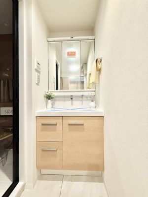 ���ʑ�E���ʏ� ���������̏������X���[�Y�ɂł���L���ł�